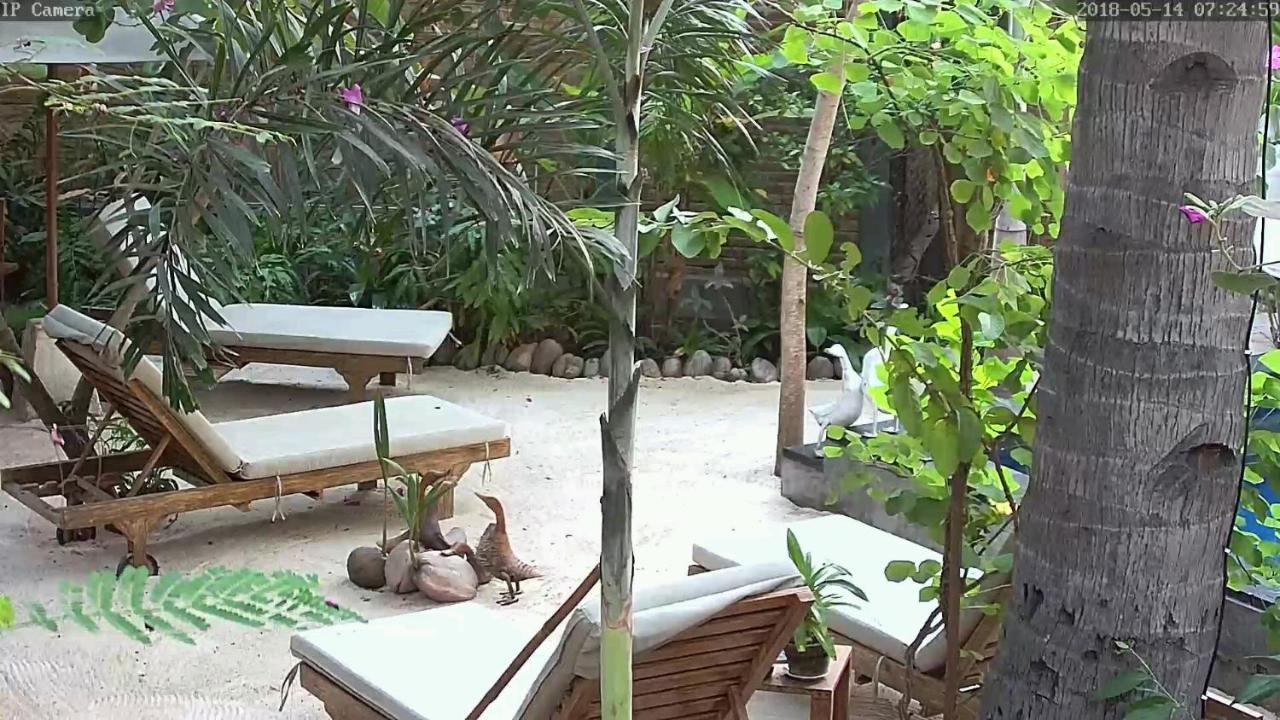 Villas Light House - Eco-Traditional Joglo Gili Trawangan Zewnętrze zdjęcie
