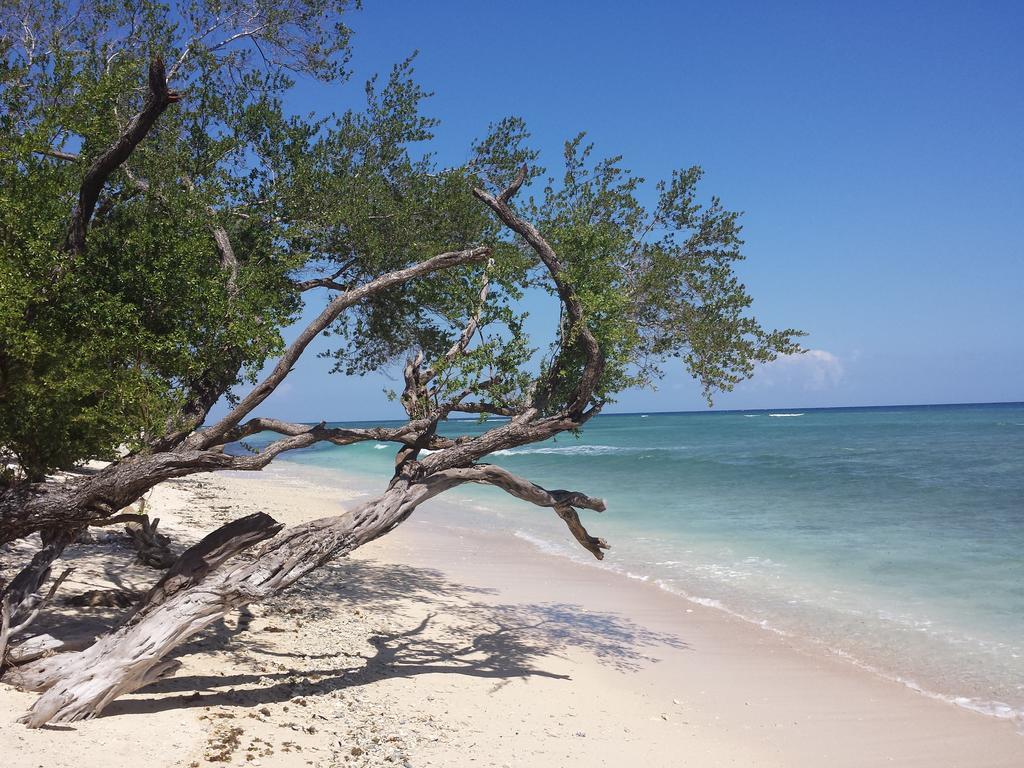 Villas Light House - Eco-Traditional Joglo Gili Trawangan Zewnętrze zdjęcie