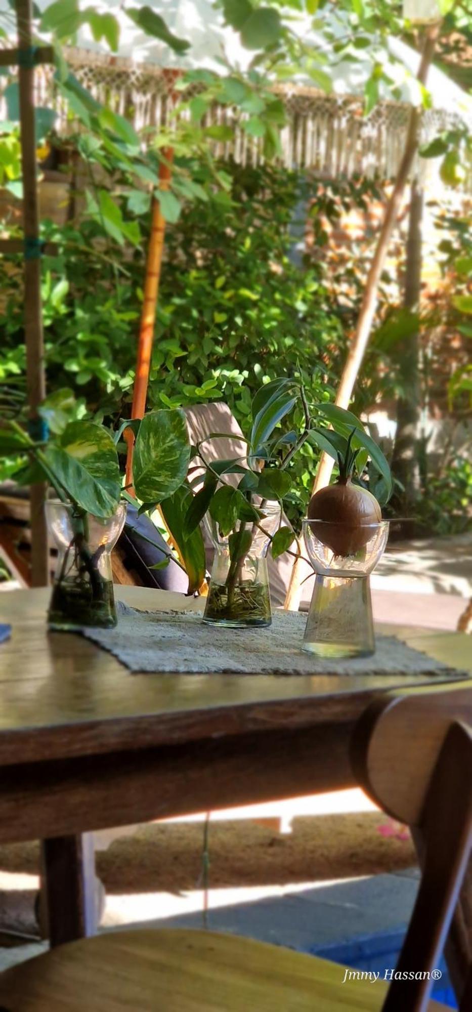Villas Light House - Eco-Traditional Joglo Gili Trawangan Zewnętrze zdjęcie